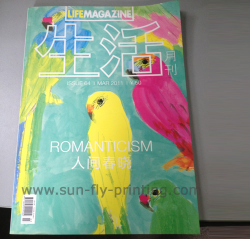 533 Bi-monthly magazine
